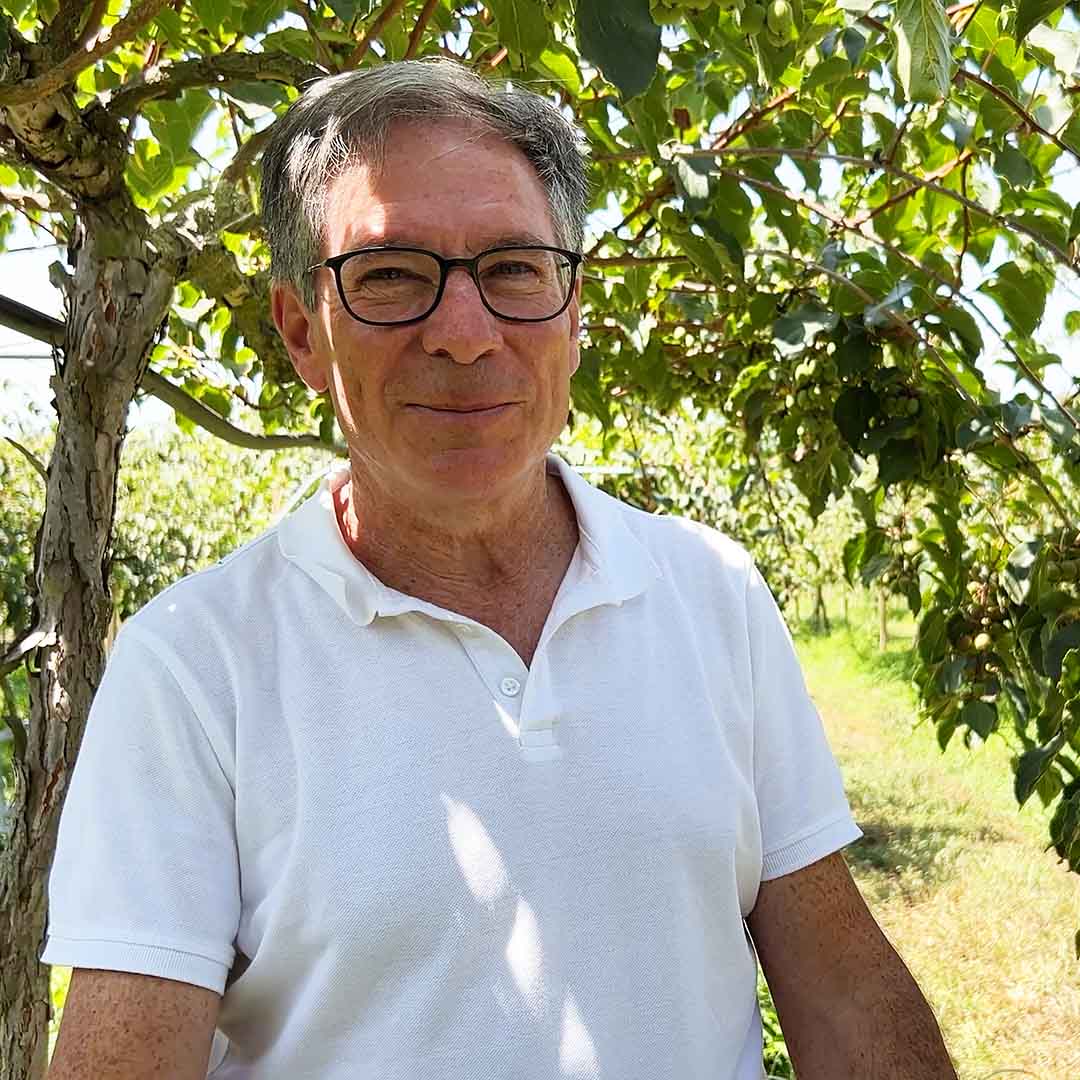 Kiwibeeren von Fernando aus Portugal (Vorbestellung)