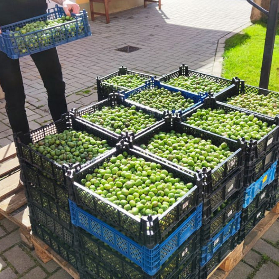 Organic kiwi berries pre-order