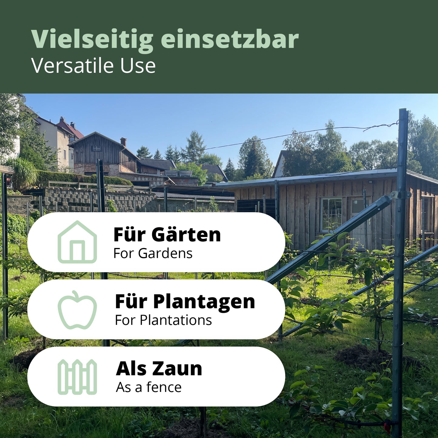 Kiwiri RANKI™ – Rankhilfe für Kletterpflanzen