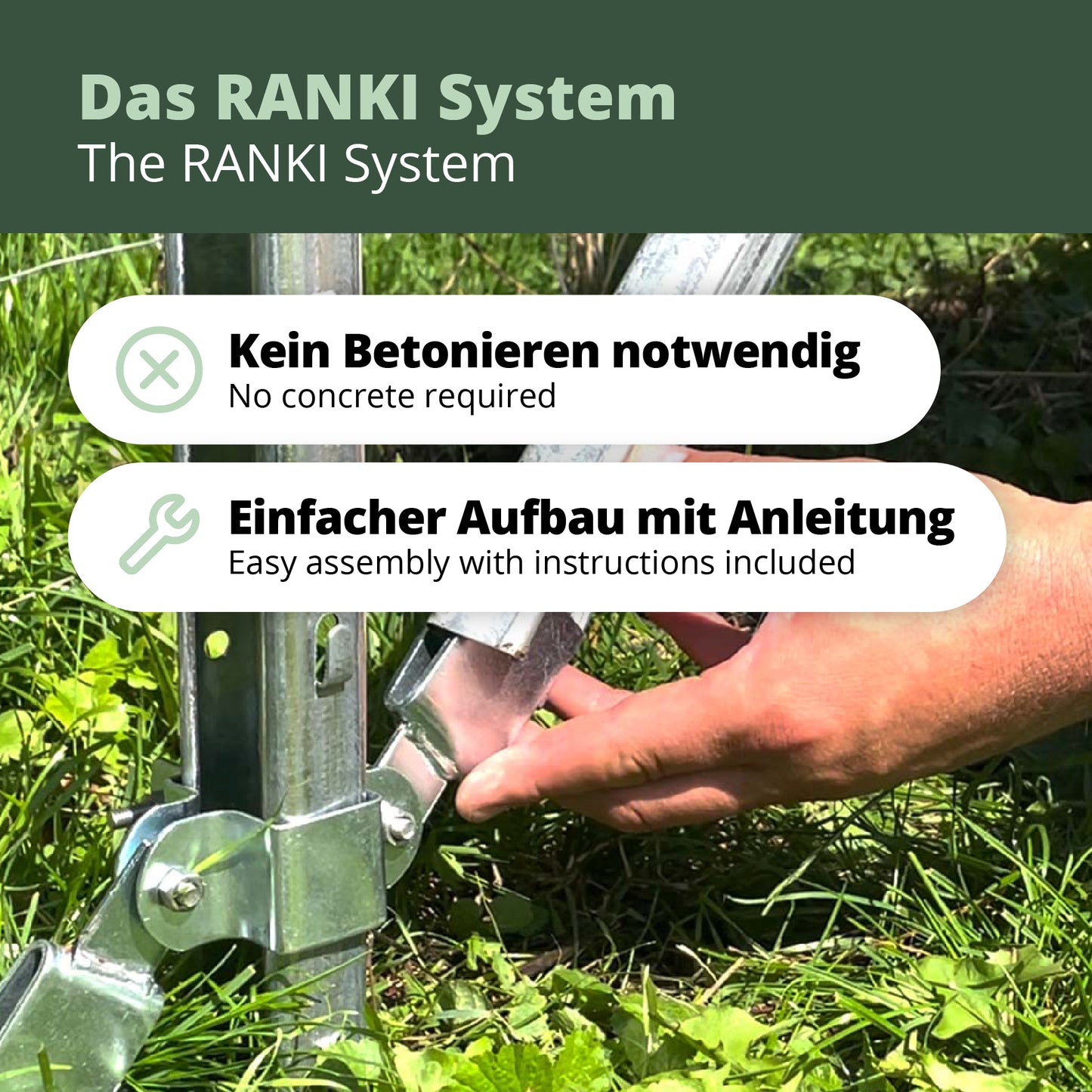 Kiwiri RANKI™ – Rankhilfe für Kletterpflanzen