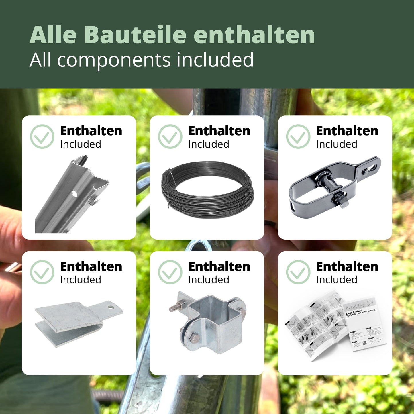 Kiwiri RANKI™ – Rankhilfe für Kletterpflanzen