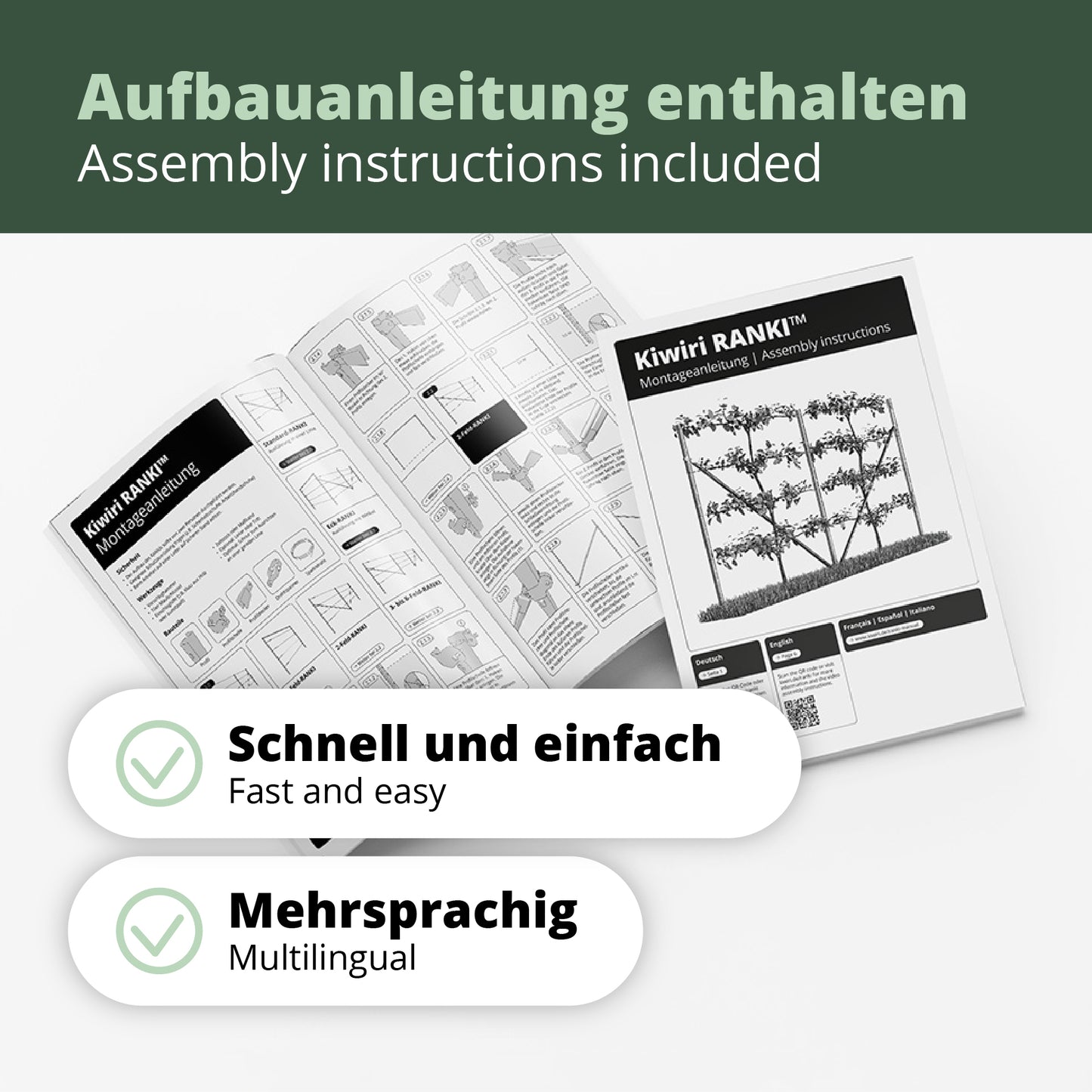 Kiwiri RANKI™ – Rankhilfe für Kletterpflanzen