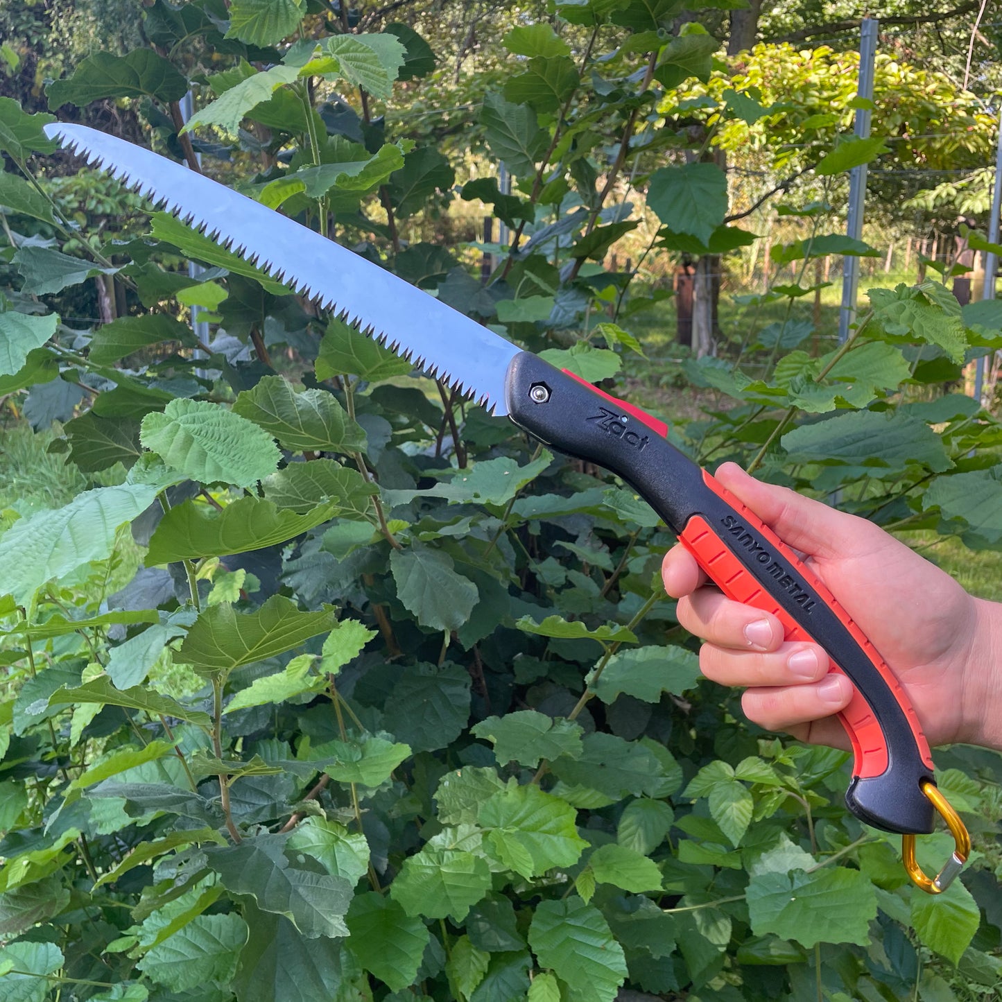 Japanische Klappsäge – ZACT FS-2400