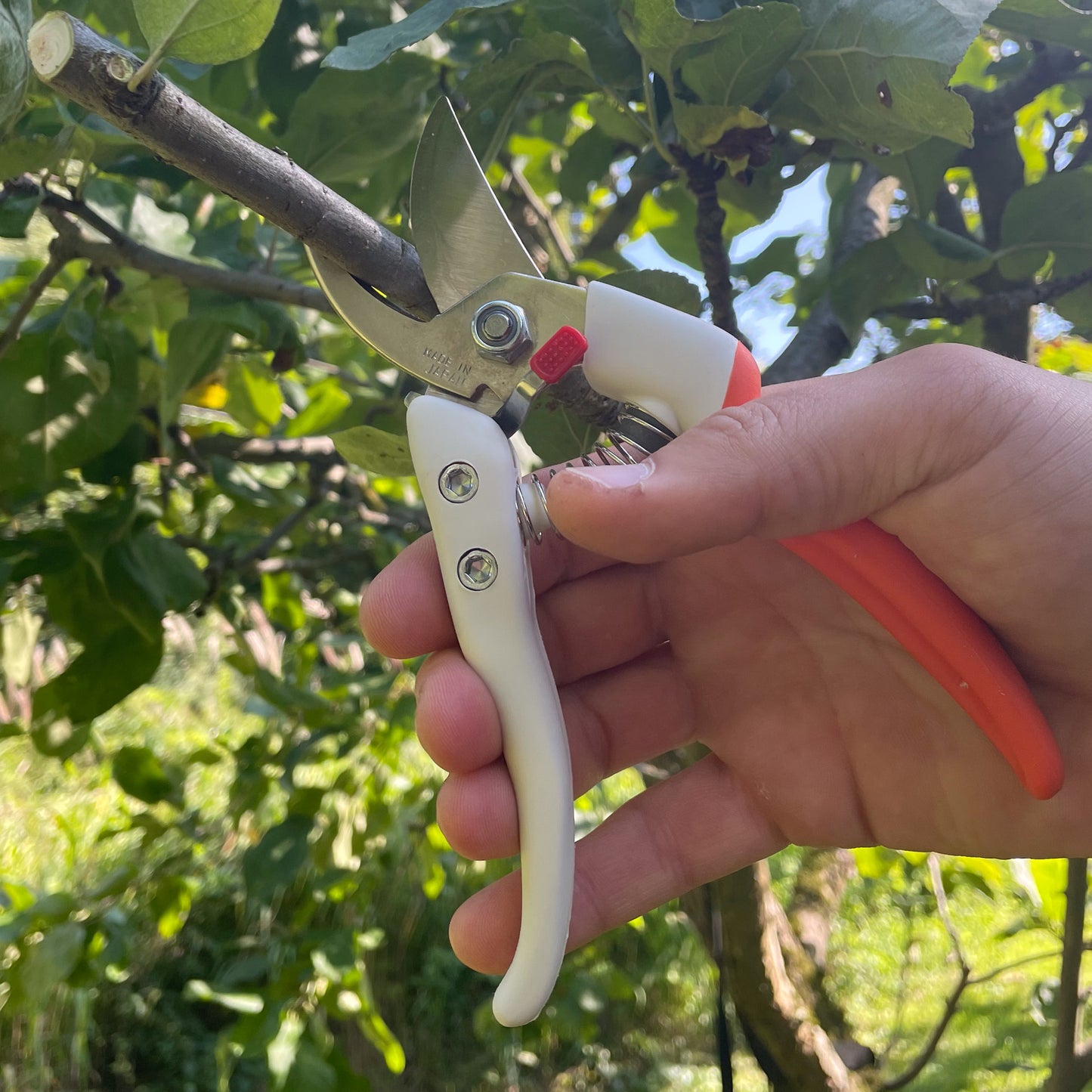 Japanische Präzisions-Gartenschere – ZACT ZS-185