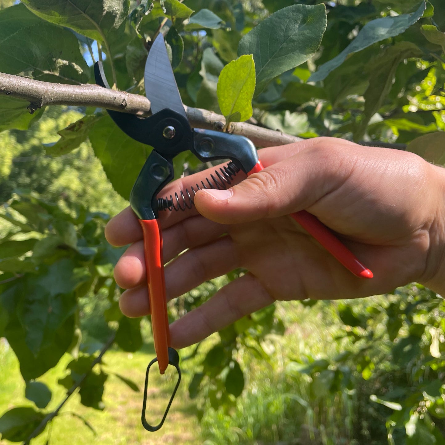 Japanische Präzisions-Gartenschere – ZACT ZS-190