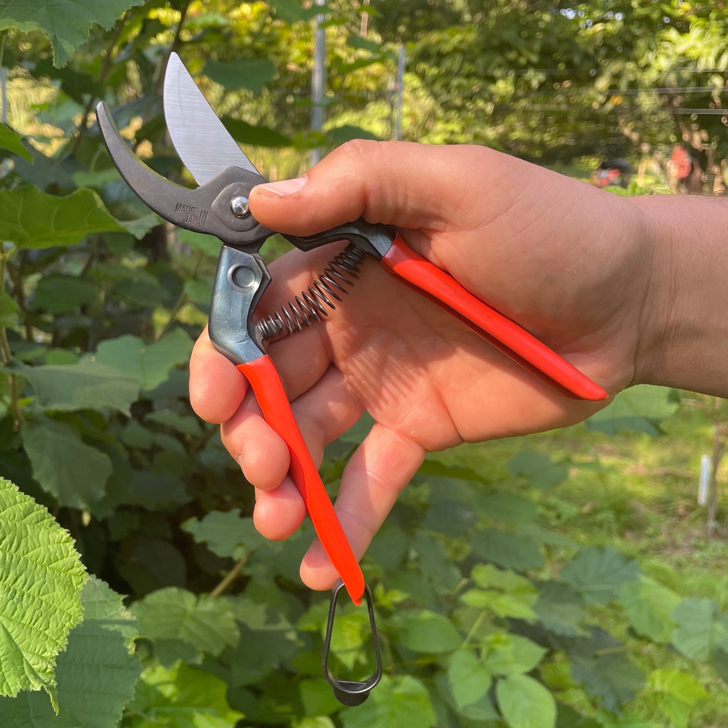 Japanische Präzisions-Gartenschere – ZACT ZS-190