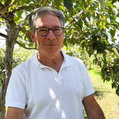Kiwibeeren von Fernando aus Portugal (Vorbestellung)