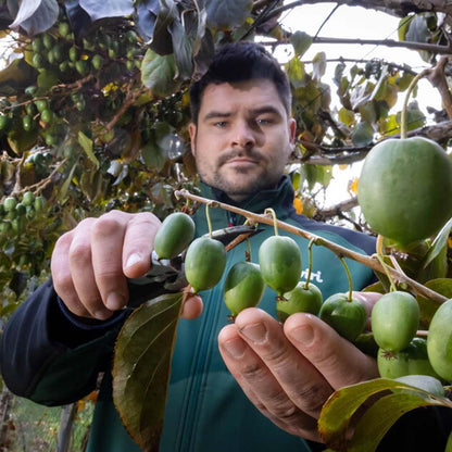 Bio-Kiwibeeren Vorbestellung