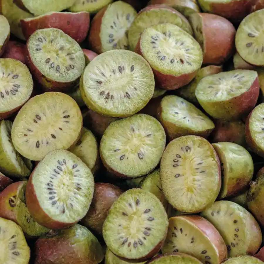 Gefriergetrocknete Kiwibeeren