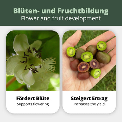 Kiwi- und Kiwibeeren-Dünger