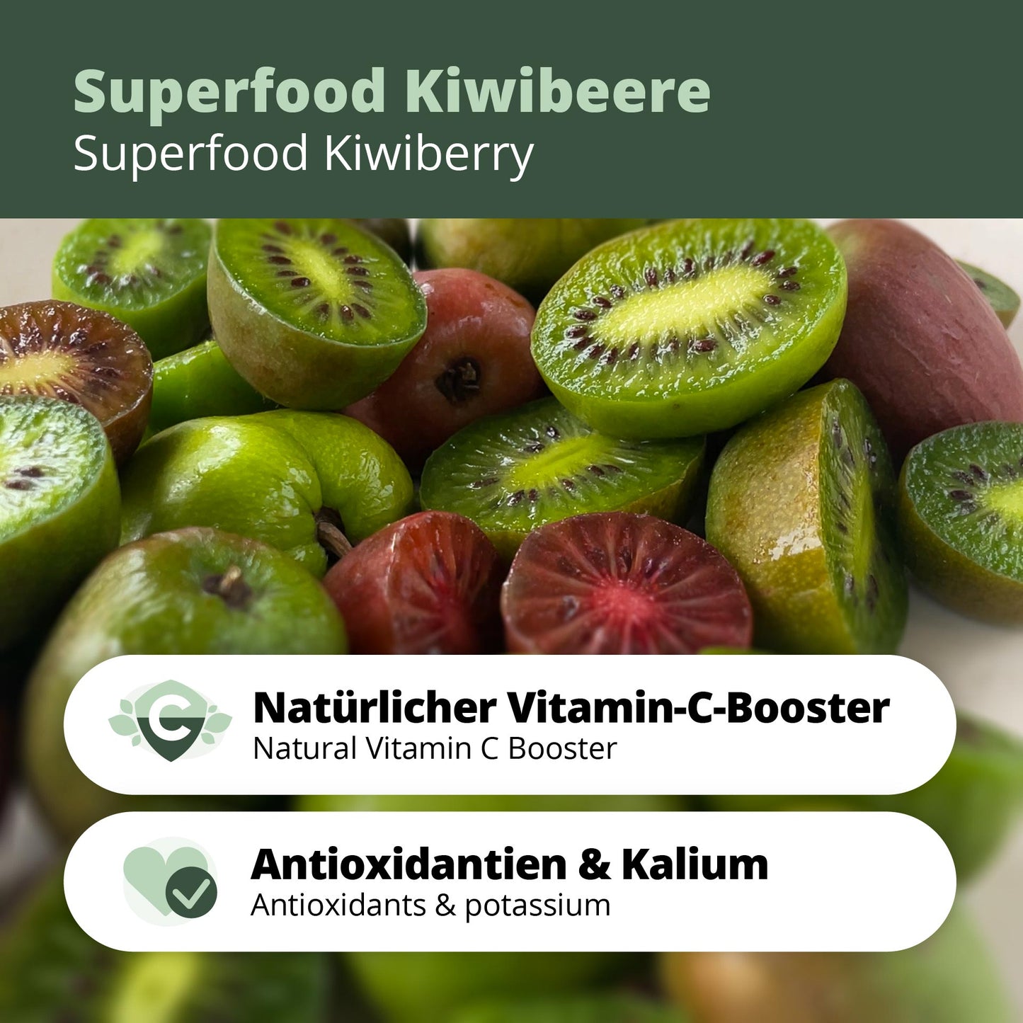 Kiwibeeren Trio - 3 Pflanzen (Actinidia arguta)