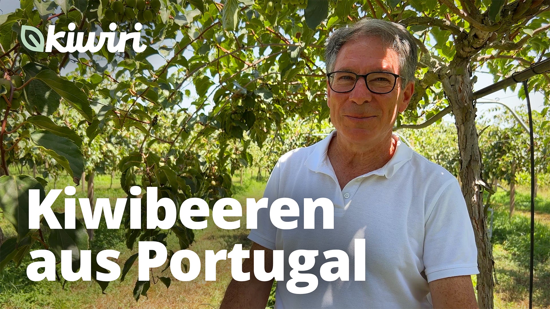 Video laden: 