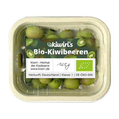 Bio-Kiwibeeren aus Deutschland (Vorbestellung)
