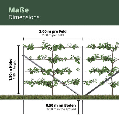 Kiwiri RANKI™ – Trellis for climbing plants
